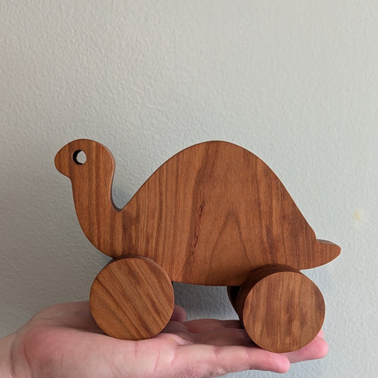 Turtle Push Toy