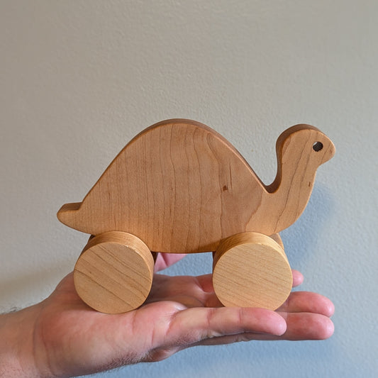 Turtle Push Toy